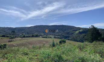 Imagem: TERRENO RURAL em BALSA NOVA - PR, BUGRE