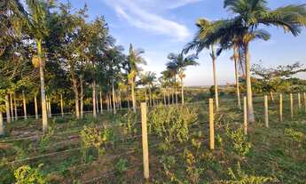 Imagem: Oportunidade única Sítio à venda em