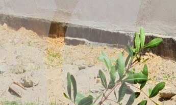 Imagem: Terreno comercial a venda na Enseada do