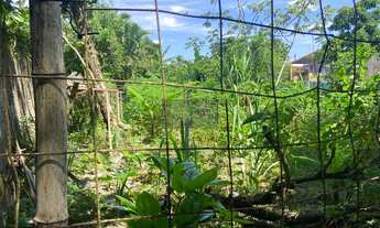 Imagem 2: TERRENO RESIDENCIAL em ITANHAÉM - SP, Tupy