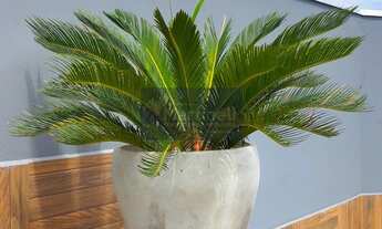 Imagem 5: Casa à venda em Mongaguá-SP, bairro Santa Eugênia: 3 quartos, 1 suíte, 1 sala, 3 banheiros