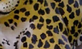 Imagem 2: TERRENO COMERCIAL em Itanhaém - SP, Praia dos Sonhos