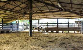 Imagem 4: Sítio à Venda com 27,5 ha em Jucu, Viana/ES - Ideal para Pecuária, Rico em Água e Próximo