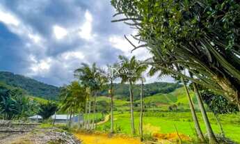 Imagem: Sítio à venda com 7.23 alqueires em Santa