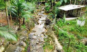 Imagem 7: Chácara à venda com 5.000 m² em Duas Barras, Anchieta-ES