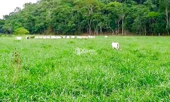 Imagem: Sítio à venda com 18,5 alqueires em Mimoso