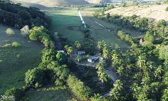 Imagem: Sítio à venda com 102.000 m² em Jabaquara