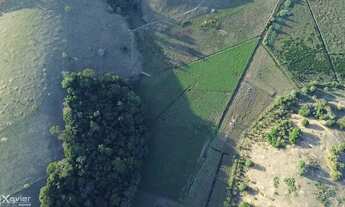 Imagem 6: Sítio à venda com 102.000 m² em Jabaquara, Anchieta-ES