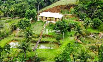 Imagem: Chácara à venda com 4.000 m² em Jaqueira