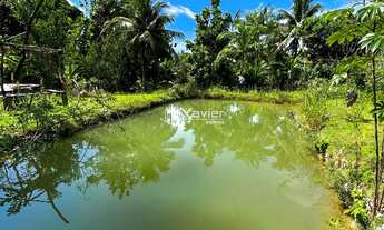 Imagem 4: Chácara à venda com 4.000 m² em Jaqueira, Anchieta-ES