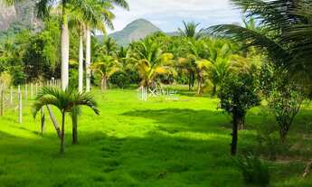 Imagem 6: Sítio com 19.000 m² à venda em Iguape, Guarapari/ES - Casa com varanda, lagoa, área gourme