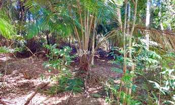 Imagem 4: Terreno à Venda com 2.000 m² em Guarapari/ES - A 7 km de Meaípe, com água, energia, fácil