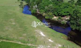 Imagem 7: Terreno 20.000 m² à venda em Jaboticaba, Guarapari-ES, área plana ideal para haras, sítio