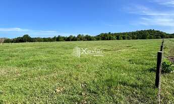 Imagem 3: Terreno 20.000 m² à venda em Jaboticaba, Guarapari-ES, área plana ideal para haras, sítio