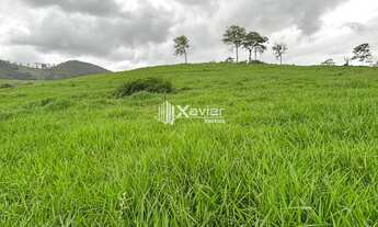 Imagem 3: Terreno de 19,3 ha à Venda em Anchieta/ES - Água, Fertilidade e Acesso Fácil na Rota do Im