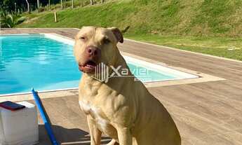 Imagem 3: Chácara em Anchieta/ES com 3.500 m², casa 3 quartos, piscina, lagoa e pomar - a 9 km de Gu