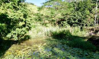 Imagem 5: Sítio à Venda em Cachoeira Alta - Alfredo Chaves/ES com 12 ha, Lagoa, Casa Rústica e Água