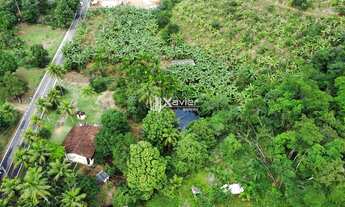 Imagem 6: Sítio com 63.000 m² à Venda em Anchieta-ES - Escriturado, com Nascente, Lagoa, Casa e Terr