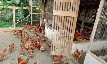 Imagem 7: Chácara com 4.000 m² à Venda em São Miguel, Guarapari - Casa, Riacho, Quiosque e Natureza