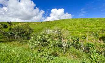 Imagem 6: Terreno Rural com 19,3 Hectares à Venda em Anchieta/ES - Ideal para Pecuária, Agricultura