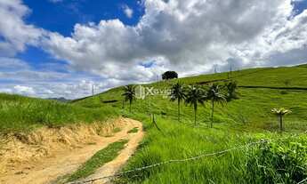 Imagem: Terreno Rural com 19,3 Hectares à Venda