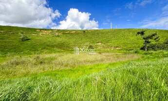 Imagem 5: Terreno Rural com 19,3 Hectares à Venda em Anchieta/ES - Ideal para Pecuária, Agricultura