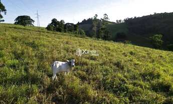 Imagem 3: Sítio à Venda com 48.400 m² em Anchieta/ES - Rico em Água, Casa, Lagoas, Curral, Frutífera