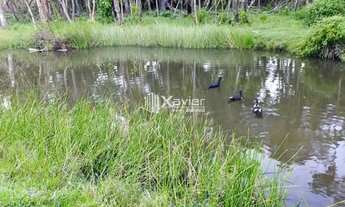 Imagem 5: Sítio à Venda com 48.400 m² em Anchieta/ES - Rico em Água, Casa, Lagoas, Curral, Frutífera