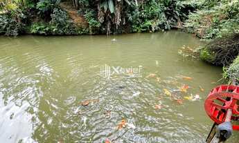 Imagem 3: Sítio com 31.500 m² à venda em Marechal Floriano-ES - Casa, nascente, tanques, estufa, pis