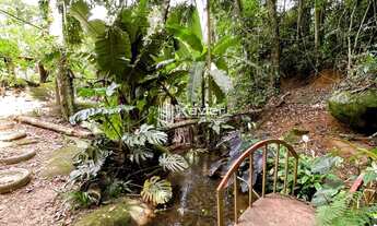 Imagem 6: Sítio com 31.500 m² à venda em Marechal Floriano-ES - Casa, nascente, tanques, estufa, pis