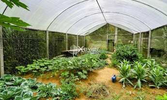 Imagem 7: Sítio com 31.500 m² à venda em Marechal Floriano-ES - Casa, nascente, tanques, estufa, pis