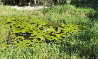 Imagem 2: Sítio com 19.000 m² à venda em Iguape, Guarapari/ES - Casa com varanda, lagoa, área gourme