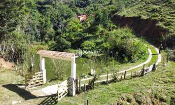 Imagem 5: Chácara com 10.000 m², chalé, piscina, lagoa com peixes e cachoeira - Alto Santa Maria, Ma