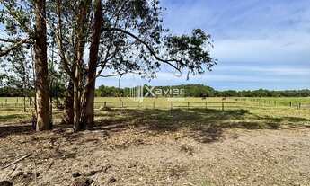 Imagem 5: Terreno 20.000 m² à venda em Jaboticaba, Guarapari-ES, área plana ideal para haras, sítio