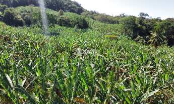 Imagem: Terreno 9,68 ha à Venda em Laje das Pedras