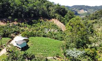 Imagem 4: Sítio à Venda com 12,5 Hectares em Todos os Santos, Guarapari - Produção Agrícola, Nascent