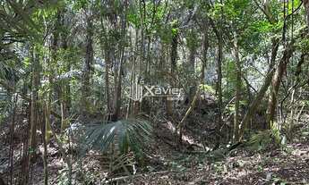 Imagem 7: Terreno 5.000 m² na Rota Turística da Cascata do Galo em Domingos Martins com riacho e ace