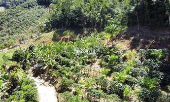 Imagem 3: Sítio à Venda com 12,5 Hectares em Todos os Santos, Guarapari - Produção Agrícola, Nascent