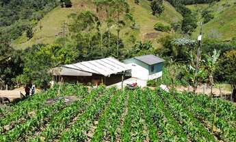 Imagem 2: Sítio à Venda com 12,5 Hectares em Todos os Santos, Guarapari - Produção Agrícola, Nascent