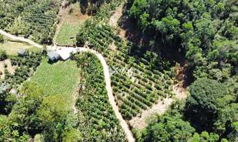 Imagem 7: Sítio à Venda com 12,5 Hectares em Todos os Santos, Guarapari - Produção Agrícola, Nascent