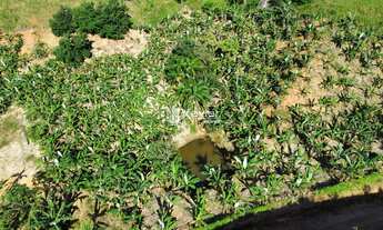 Imagem 6: Sítio à venda em Guarapari/ES com 116.000 m², casa sede, lagoas, rio, piscina e pomar, a a