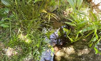 Imagem 6: Chácara à venda em São João do Jaboti, Guarapari-ES, 11.800 m² com córrego, tanques, pomar