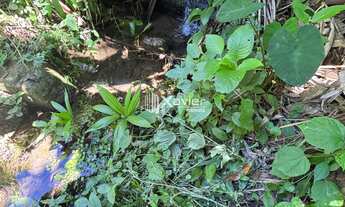 Imagem 5: Chácara à venda em São João do Jaboti, Guarapari-ES, 11.800 m² com córrego, tanques, pomar