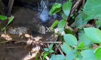 Imagem 7: Chácara à venda em São João do Jaboti, Guarapari-ES, 11.800 m² com córrego, tanques, pomar