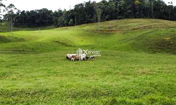 Imagem 2: Terreno 9,6 ha à Venda em Araguaia, Alfredo Chaves/ES