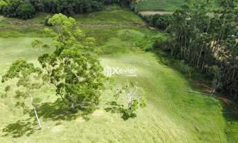 Imagem 6: Terreno 9,6 ha à Venda em Araguaia, Alfredo Chaves/ES