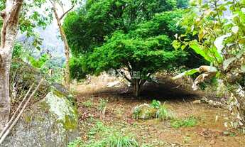 Imagem 3: Terreno de 50.000 m² com riacho no Vale da Estação - Santa Isabel/ES, a 5 km do Portal de