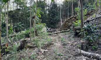 Imagem 5: Terreno de 40.000 m² à Venda em Guarapari/ES - Próximo à Rota da Ferradura, com Nascentes