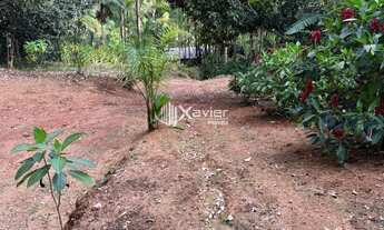 Imagem 4: Terreno de 40.000 m² à Venda em Guarapari/ES - Próximo à Rota da Ferradura, com Nascentes