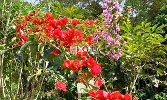 Imagem 7: Chácara encantadora com 3.700 m², casa sede e pomar exuberante em Marechal Floriano (ES